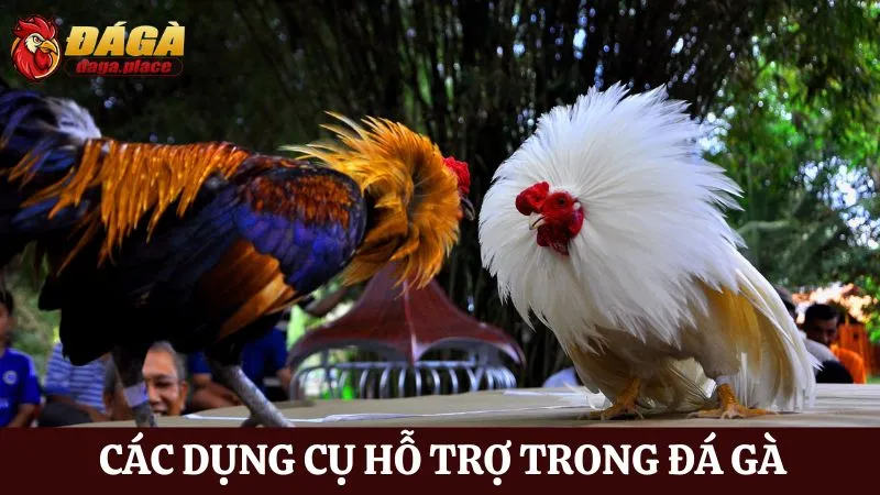 Các dụng cụ hỗ trợ trong đá gà được các sư kê lựa chọn nhiều Các dụng cụ hỗ trợ trong đá gà