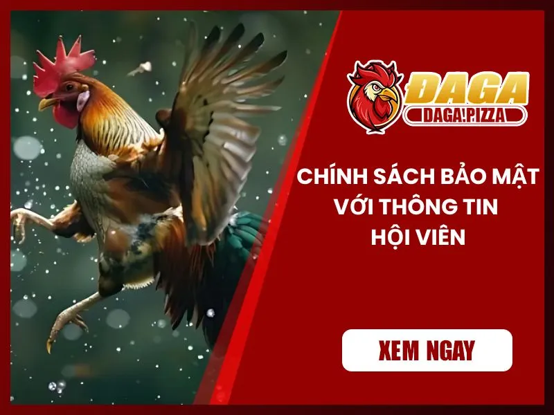 Chính sách bảo mật Chính sách bảo mật Đá gà Pizza