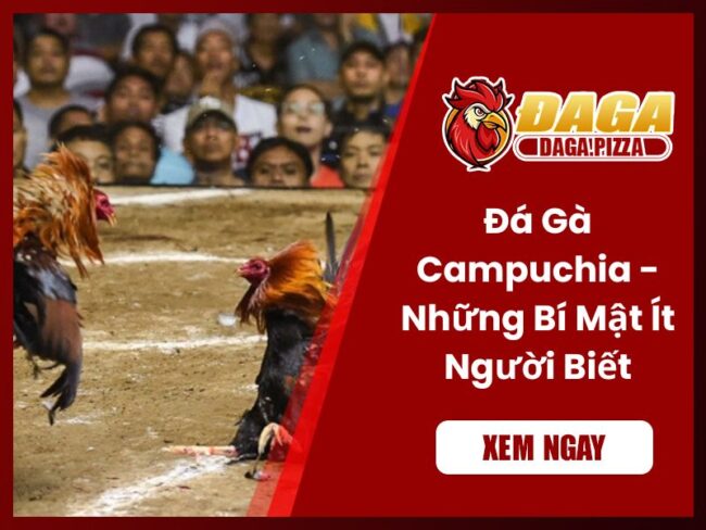 Đá gà Campuchia – Những bí mật ít người biết