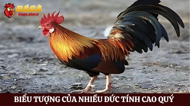 Đá gà và văn hóa dân gian Việt Nam: Nét đẹp truyền thống Đá gà và văn hóa dân gian Việt Nam là gì