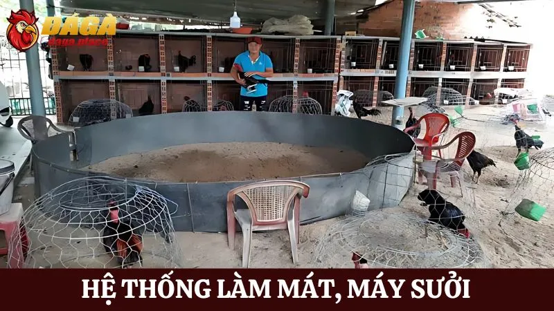 Các dụng cụ hỗ trợ trong đá gà được các sư kê lựa chọn nhiều Các dụng cụ hỗ trợ trong đá gà - hệ thống làm mát, máy sưởi