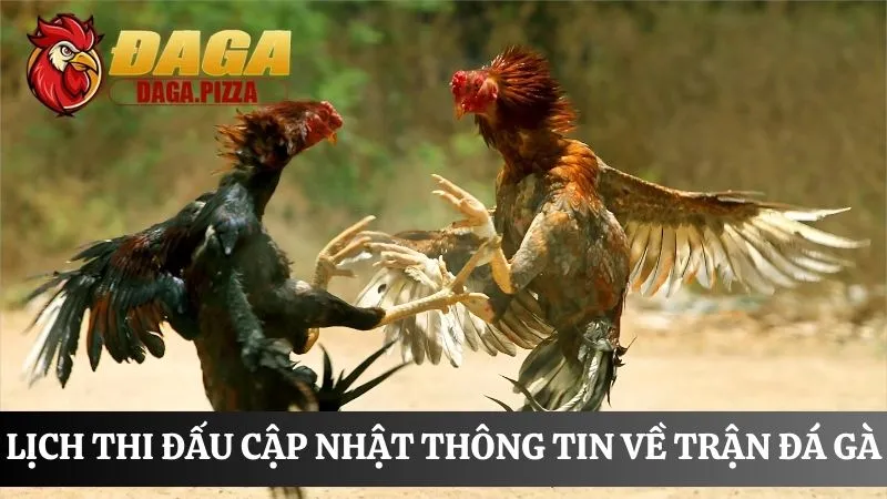 Lịch thi đấu đá g