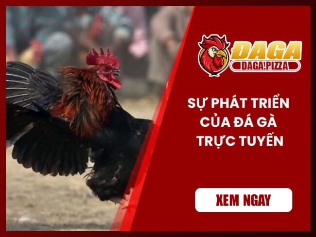 ự phát triển của đá gà trực tuyến