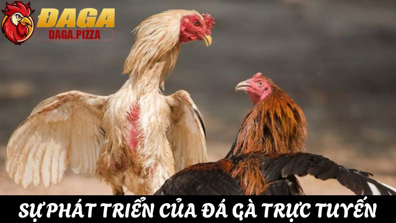 ự phát triển của đá gà trực tuyến